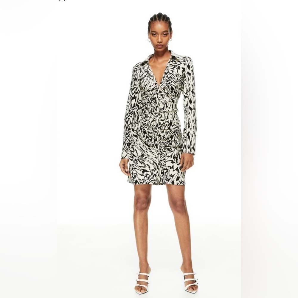 H&M Draped Shirt Dress